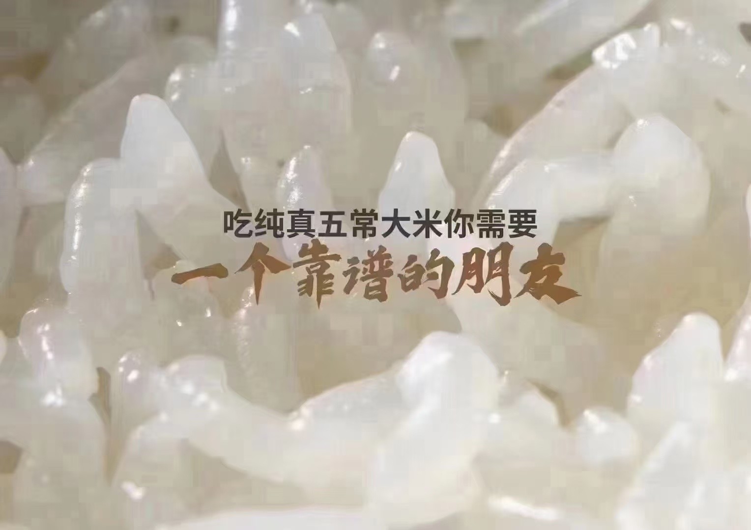 五常大米